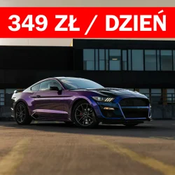 kameleon bulls car