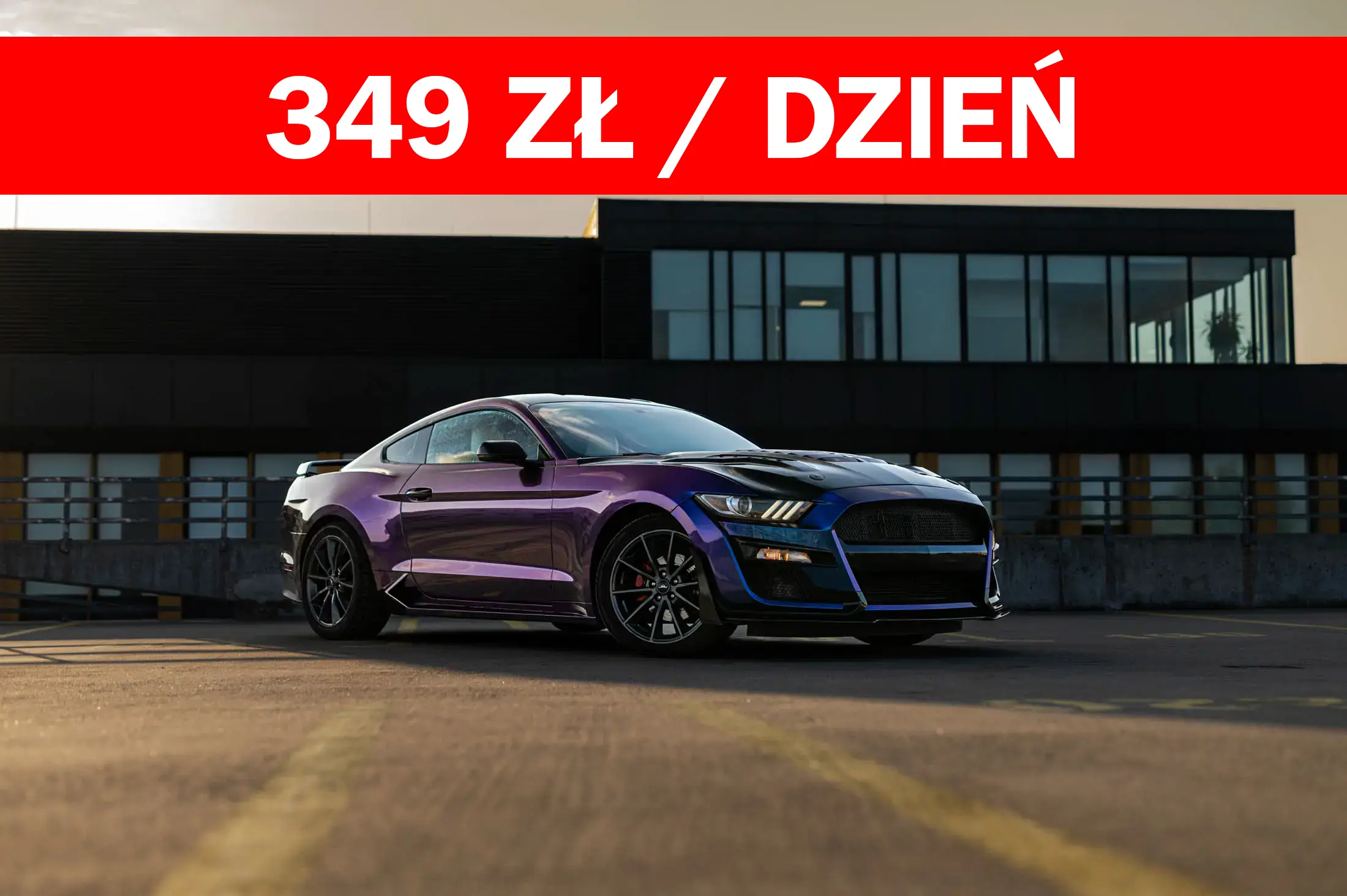 kameleon bulls car
