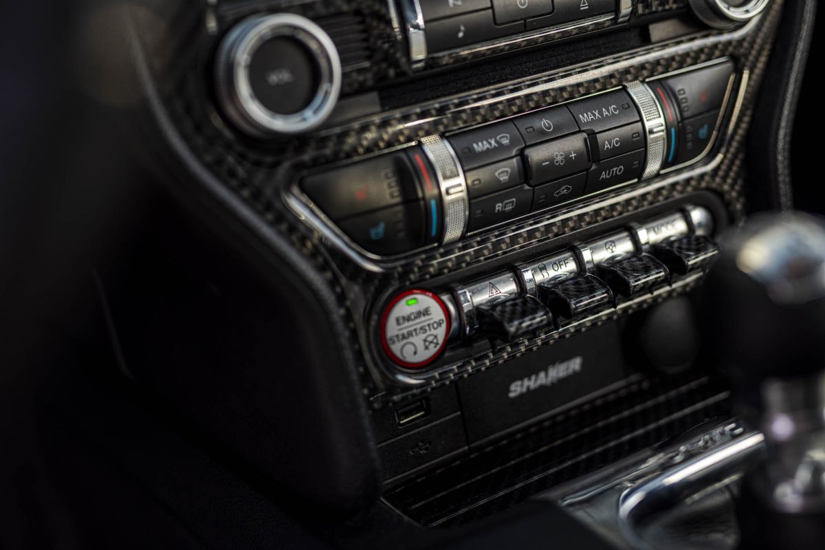 Ford_Mustang_Cameleon_Bulls_car12