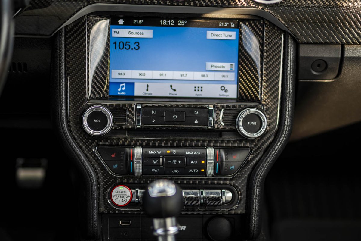 Ford_Mustang_Cameleon_Bulls_car15