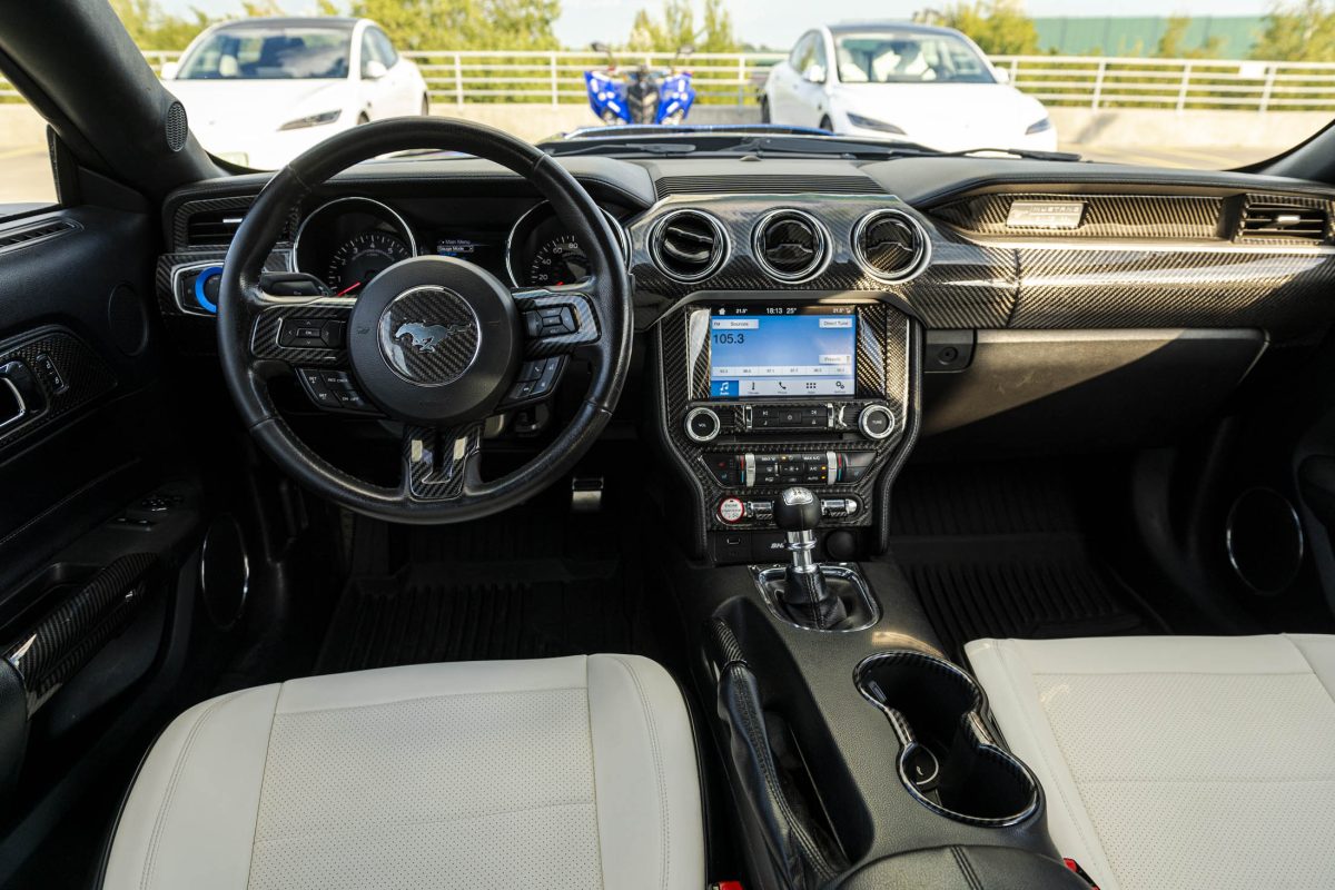 Ford_Mustang_Cameleon_Bulls_car16