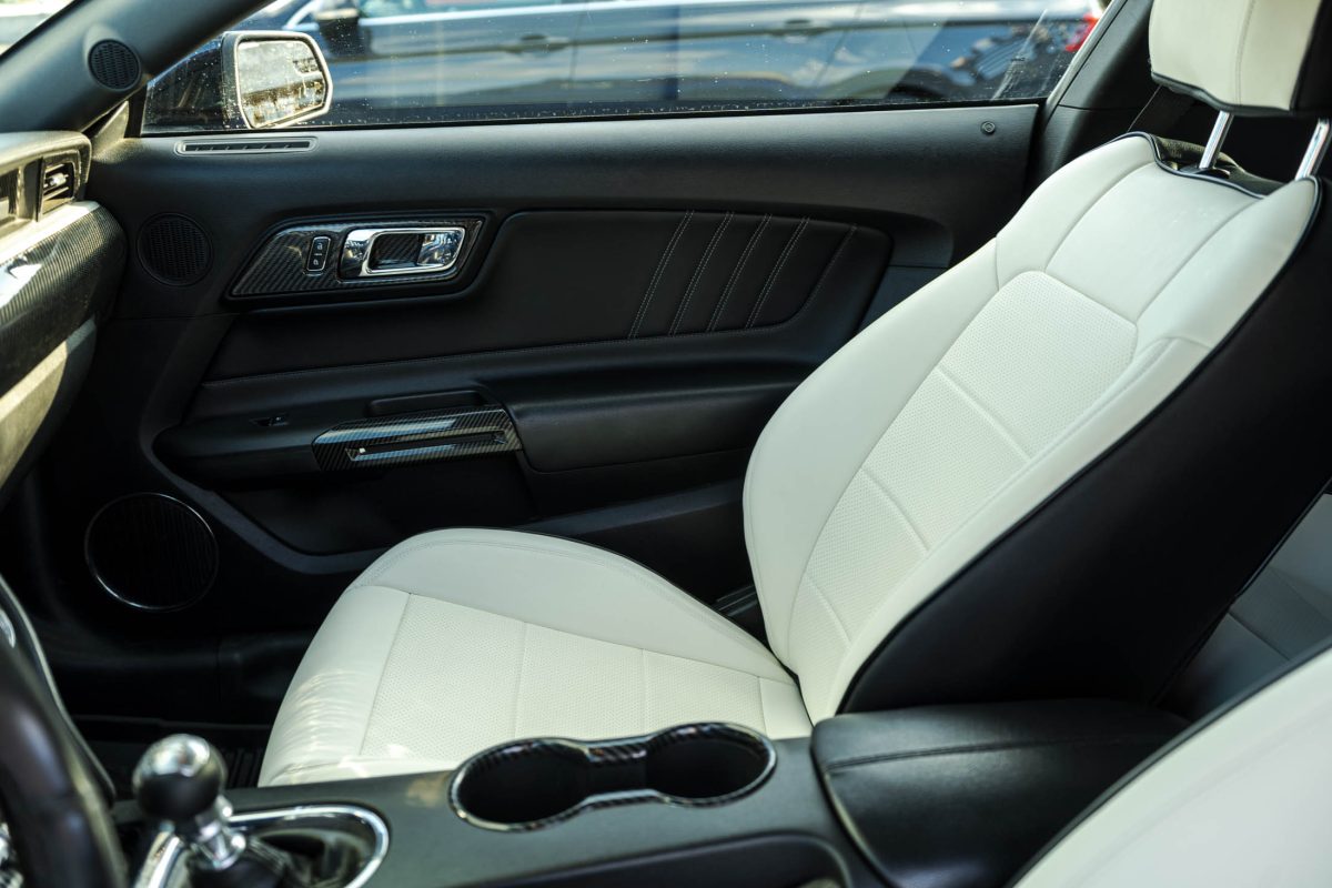 Ford_Mustang_Cameleon_Bulls_car20