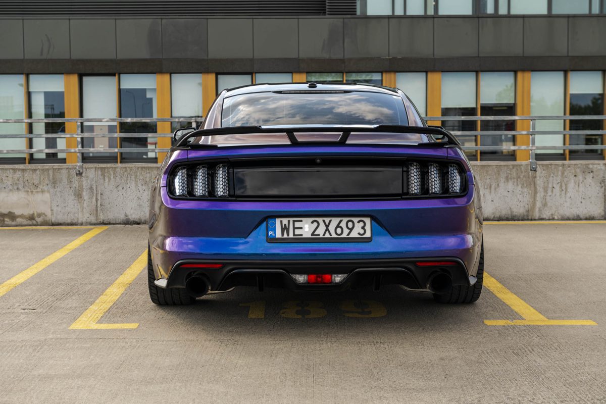 Ford_Mustang_Cameleon_Bulls_car6